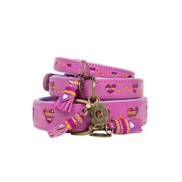 Dog With A Mission (DWAM) Honden halsband Spicy | Dog With a Mission