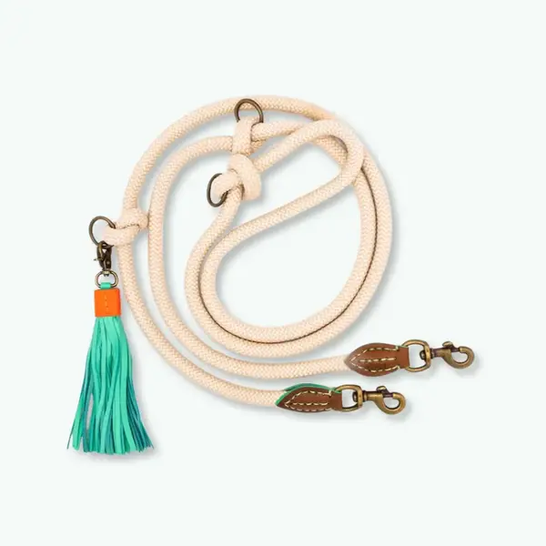 Dog With A Mission (DWAM) Extra Long Sand Dog Leash | Dog With A Mission