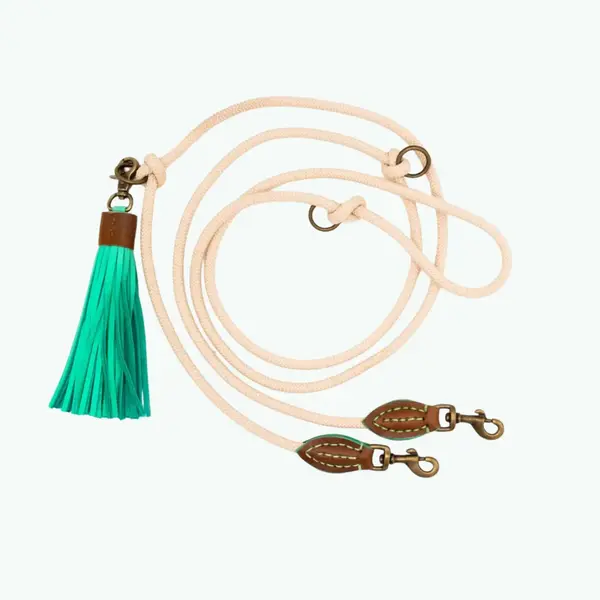 Dog With A Mission (DWAM) Extra Long Sand Dog Leash | Dog With A Mission