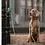 Dog With A Mission (DWAM) Extra Long Jade Dog Leash | Dog with a mission