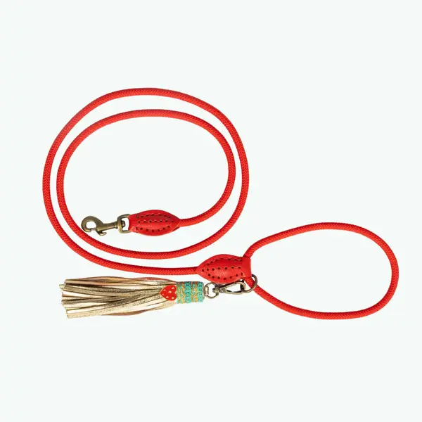 Dog With A Mission (DWAM) Hondenriem Classic Red Velvet | Dog with a mission