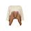 Ibzmode Top Mega Almora Ivory | IBZmode