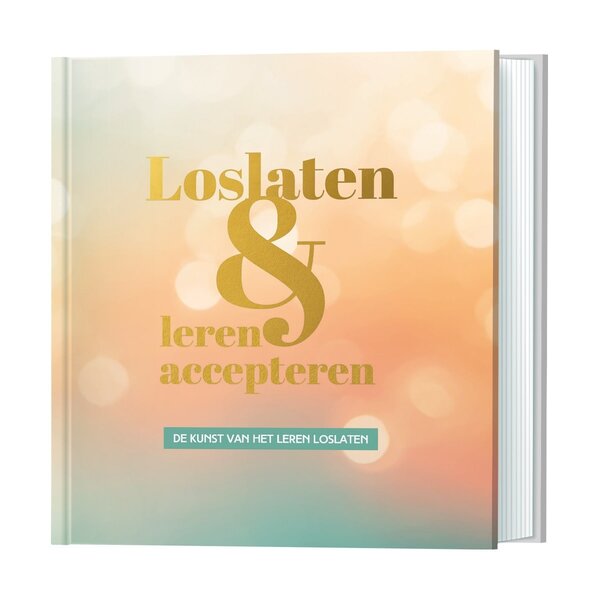 Lantaarn Boek loslaten & leren accepteren