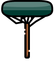 Dachbäume Dachbäume