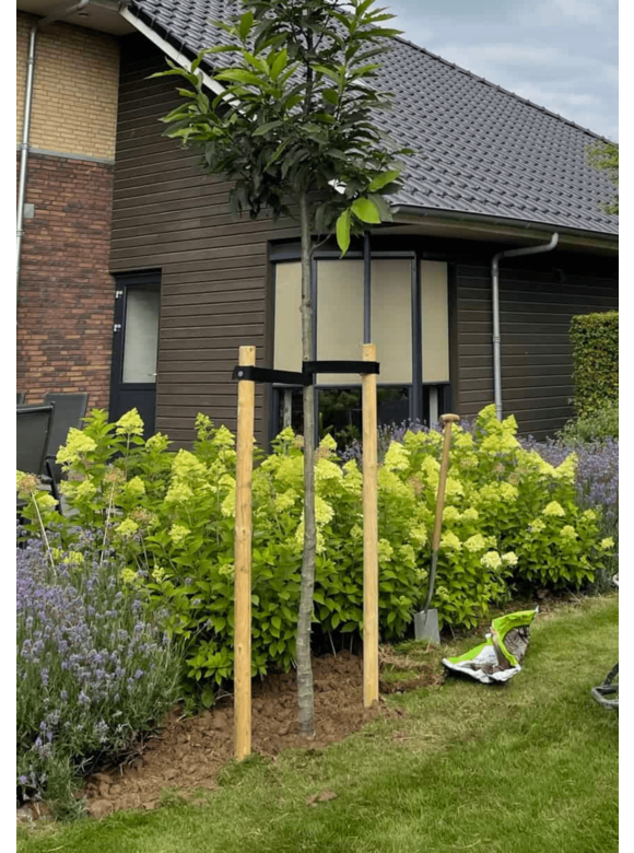 Baumpfosten 2 x 250 cm Baumpfosten 2 x 250 cm