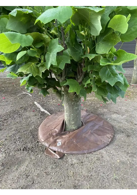 Bewässerungsring 55L