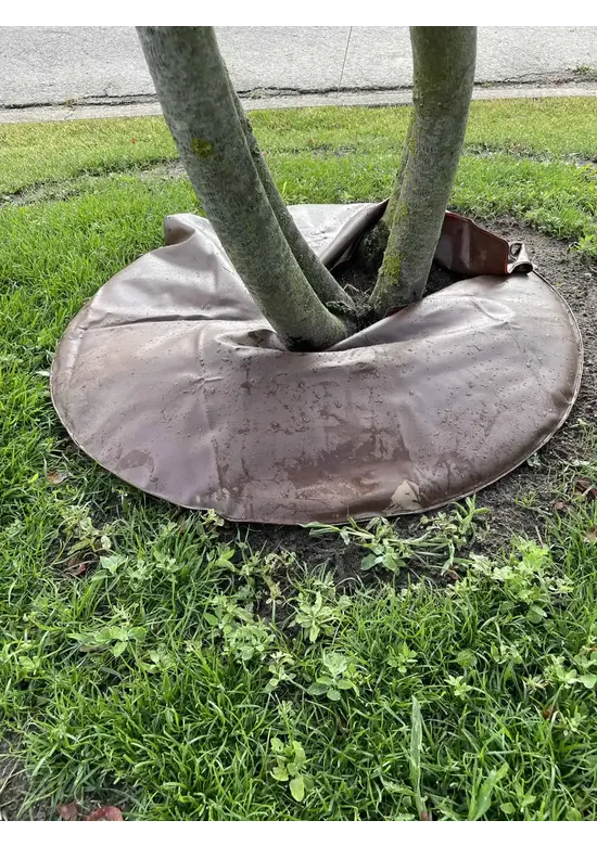 Bewässerungsring 55L