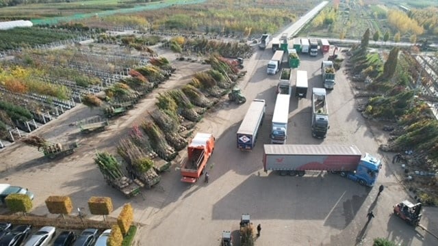 Ihr Gartenprojekt muss nicht warten – Bäume in Töpfen sofort pflanzbereit!