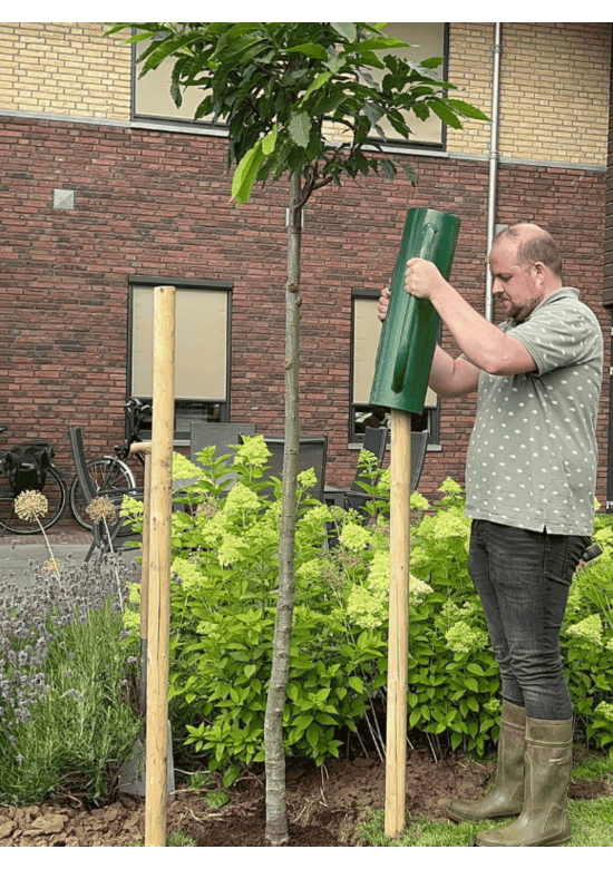 Baumpfahl pro Stück - 200 cm