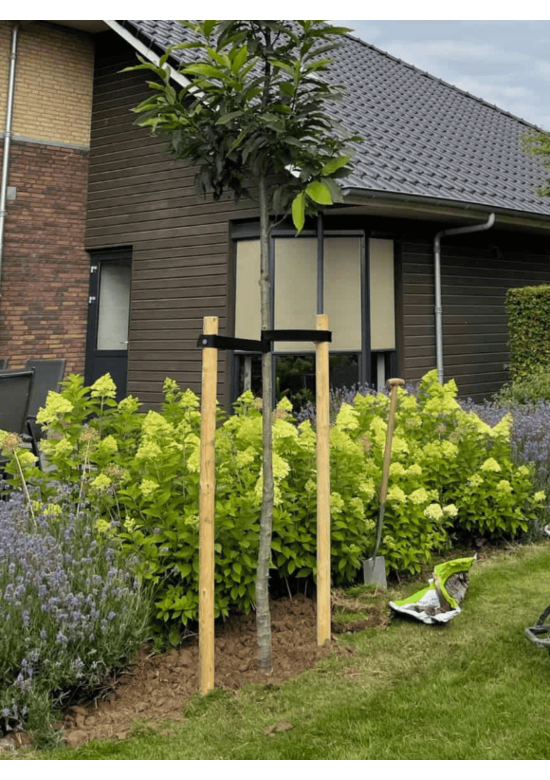 Baumpfahl pro Stück - 200 cm