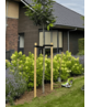 Baumpfahl pro Stück - 200 cm Baumpfahl pro Stück - 200 cm