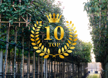 Top 10 Spalierbäume