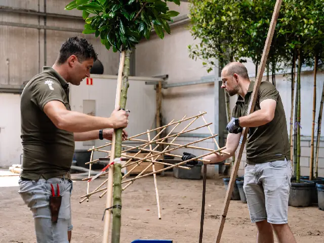 Benötigte Materialien bereitlegen und Spalierform bauen