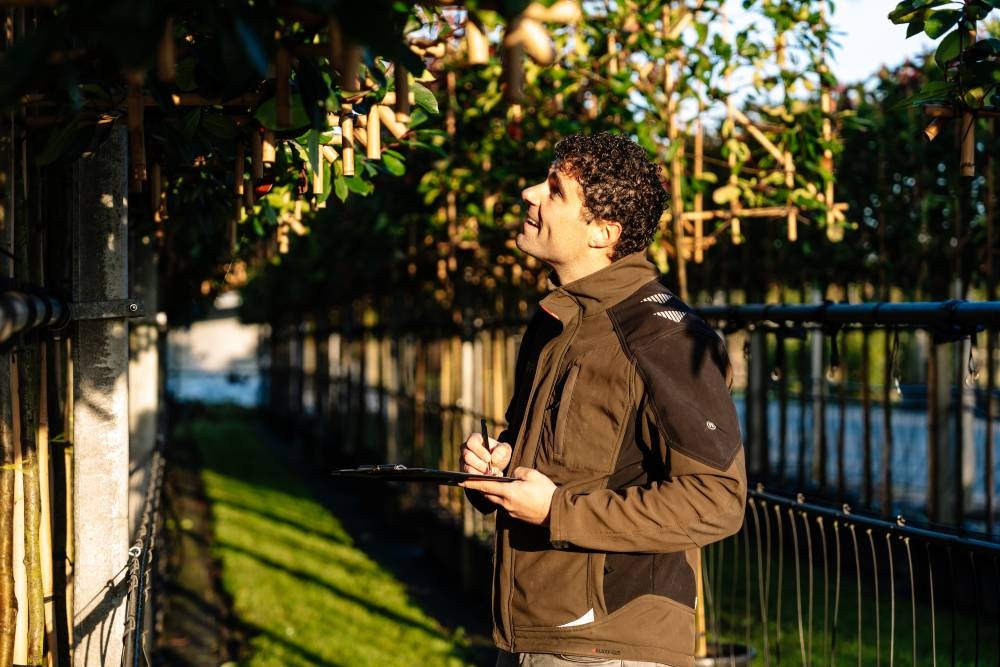 Der Prozess Von der Bestellung bis zur Lieferung