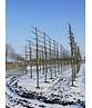 kaiserlinde spalier | Tilia europaea Pallida
