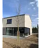 Amberbaum 'Worplesdon' | Liquidambar styraciflua 'Worplesdon'