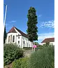 Mauritz-Spitzahorn 'Mauritz Upright' Hochstamm® | Acer platanoides 'Mauritz Upright'®