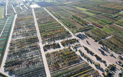 Großhandel für Privatkunden & GaLaBau<br><br>