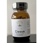 Nutritime Cissus Quadrangularis hochdosiert