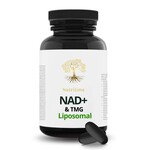 Nutritime NAD+, Nicotinamid-Adenin-Dinukleotid