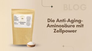 L-Glutamin: Die Anti-Aging-Aminosäure mit Zellpower L-Glutamin: Die Anti-Aging-Aminosäure mit Zellpower