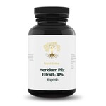 Nutritime Hericium Pilz Extrakt in Kapseln 30%