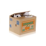 Mischief Saving Box Cute Kitty Money Box Piggybank