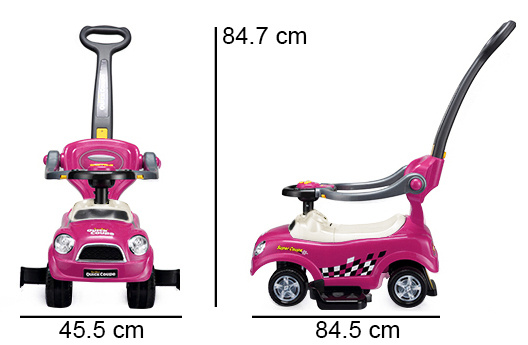 Loopauto 3in1 - met duwstang en geluid - Violet
