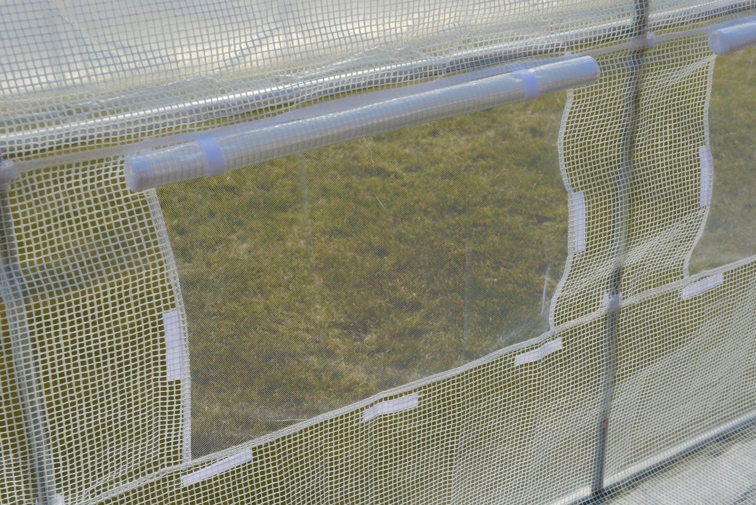 Folietunnel kweekkas met ramen 600 x 300 x 200 cm Wit