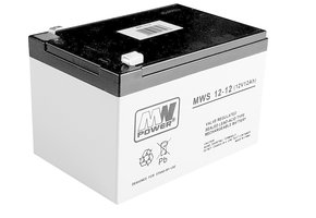 Accu 12V 12Ah – voor elektrische kinderauto