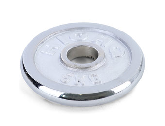 Olympische halterschijf 5 kg - 50 mm - zilver gietijzer