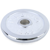 Olympische halterschijven 20 kg - 2x10 kg - 50 mm - zilver gietijzer