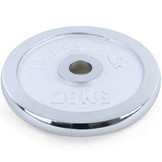 Olympische halterschijf 20 kg - 50 mm - zilver gietijzer