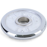 Olympische halterschijven 4 x 5 kg - 20 kg - 50 mm - zilver gietijzer