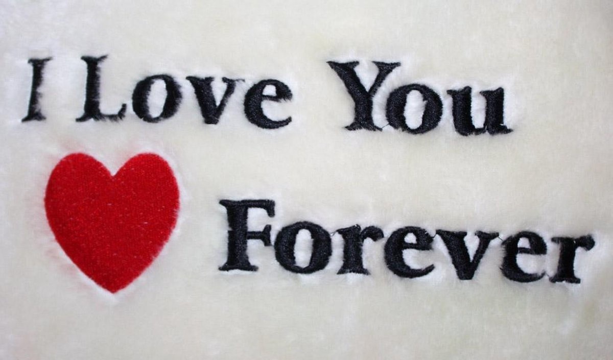 Grote knuffelbeer wit rood I love you 120 cm I Love You