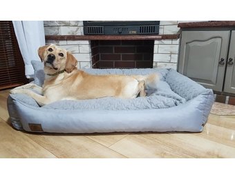 Groot Hondenbed met kussen - hondemand - hondensofa - kattenbed - kunstleer - waterdicht