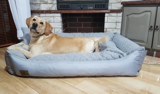 Groot Hondenbed met kussen - hondemand - hondensofa - kattenbed - kunstleer - waterdicht
