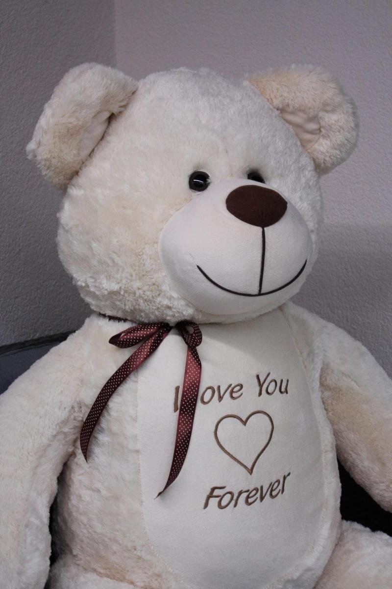 Grote knuffelbeer - I love you - Zacht - Crème
