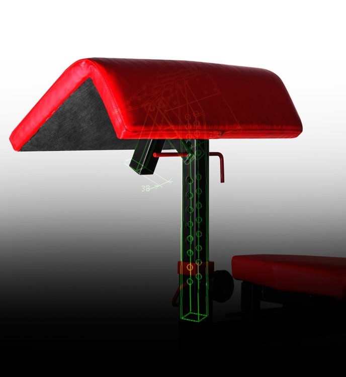 Bicep curls halterbank - met Hoekverstelling