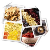 Voedseldroger - 5 laags - 400W - 10L