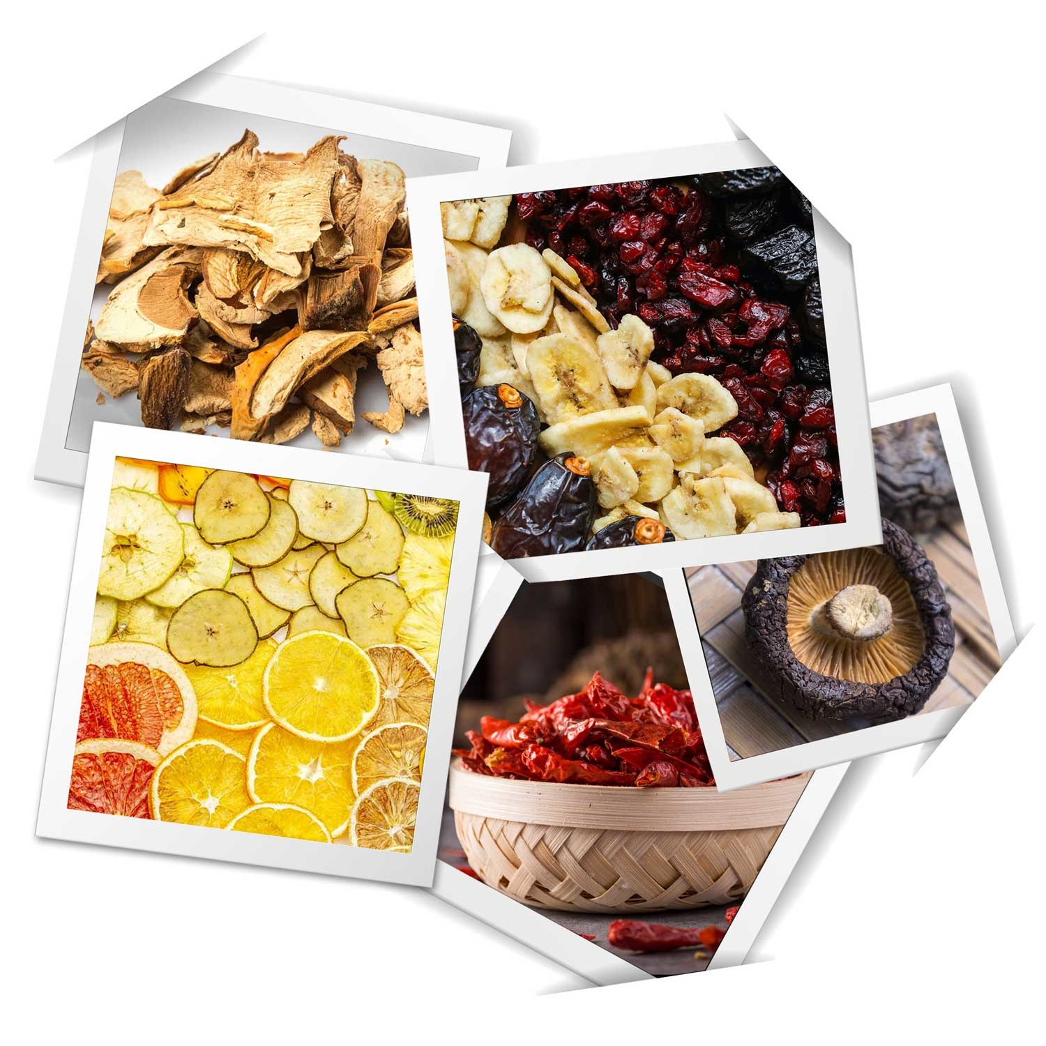 Voedseldroger - 5 laags - 400W - 10L