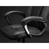 Bureaustoel - Ergonomisch - Zwart - Eco-leer