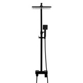 Douchepaneel - met Douchemengkraan - en Regendouche 30 cm