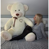 Gigantische grote teddybeer zachte knuffel - 105 x 85 cm - creme