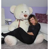 Gigantische grote teddybeer zachte knuffel - 105 x 85 cm - creme