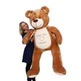 Gigantische grote teddybeer zachte knuffel kado - 165 cm - gember