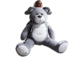 Gigantische grote teddybeer zachte knuffel kado - 165 cm - grijs