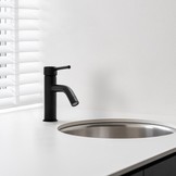 Badkamer wastafel kraan staande zwarte kraan