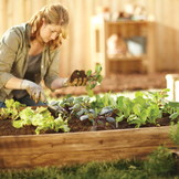 Moestuinbak - 200x150x18 cm - hout - met 3 soorten groentezaden