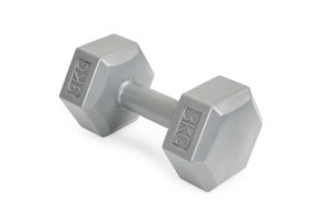 Dumbbells - gewichten set - 6 kg - 2x 3kg - zeskant - grijs